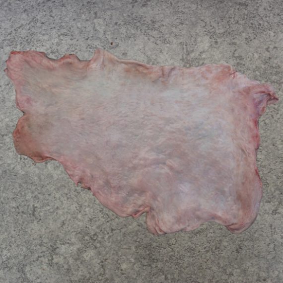Frozen Pig Lard | 猪油 Frozen Pig Lard | 猪油
